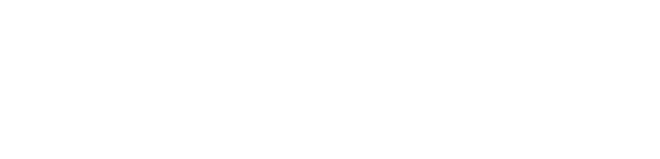 Logotype Horizontal-white